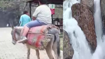 Şelale manzaralı eşek turu: Taner okul harçlığını çıkarıyor