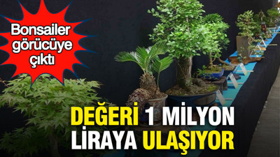 Bonsailer görücüye çıktı: Değeri 1 milyon liraya ulaşıyor