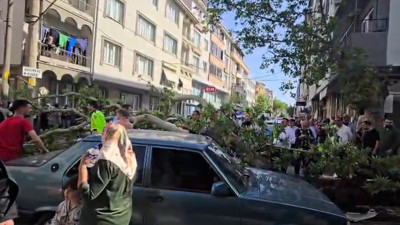 Karacabey’de korku dolu anlar: Devrilen ağaç araçların ve motosikletin üzerine devrildi