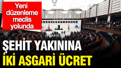 Şehit yakınları ve gazilere yeni düzenleme TBMM yolunda: İki asgari ücret, onursal kimlik