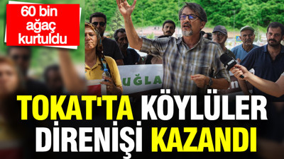 Tokat'ta köylüler direnişi kazandı: 60 bin ağaç kurtuldu