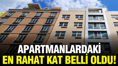 Apartmanlardaki en rahat kat belli oldu