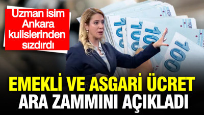 SGK uzmanı Melis Elmen canlı yayında açıkladı: Emekli ve asgari ücret zammı için net rakam verdi