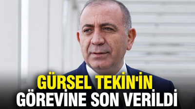 Gürsel Tekin'in görevine son verildi