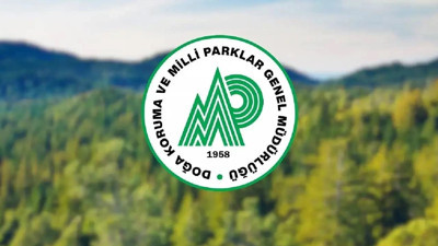 Doğa Koruma ve Milli Parklar Genel Müdürlüğü 92 sözleşmeli personel alacak: Başvurular e-Devlet üzerinden yapılacak