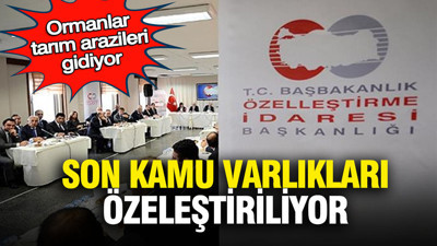 Ormanlar, tarım arazileri gidiyor: Son kamu varlıkları da özelleştiriliyor