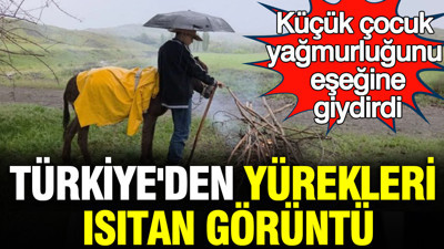 Türkiye'den yürekleri ısıtan görüntü: 13 yaşındaki çocuk yağmurluğunu eşeğine giydirdi