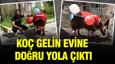 Koç gelin evine doğru yola çıktı: Asırlık adet yeni nesille şahlandı