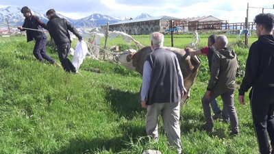 Erzurum'da kurban telaşı facia getirdi: 1 ölü, 127 yaralı
