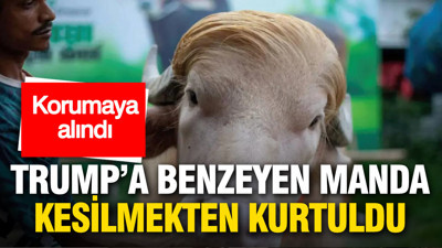 Trump’a benzeyen manda kesilmekten son anda kurtarıldı