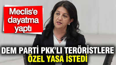 Pervin Buldan PKK'lı teröristlere özel yasa istedi: Meclis'e dayatma yaptı