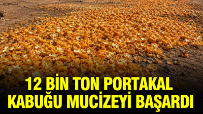 12 bin ton portakal kabuğu mucizeyi başardı