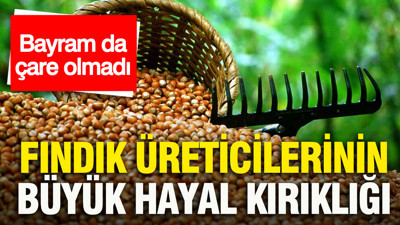 Fındık üreticilerinin büyük hayal kırıklığı: Bayram da çare olmadı