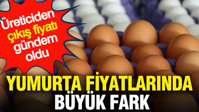 Yumurta fiyatlarında büyük fark: Üreticiden çıkış fiyatı gündem oldu