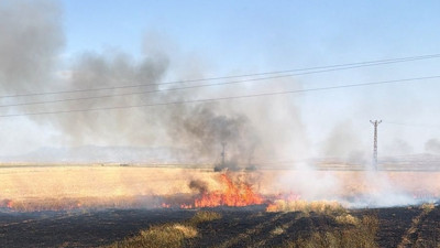 Buğday tarlasında gizemli yangın: Hasat öncesi büyük darbe