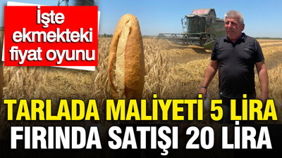 Tarladan fırına fiyat uçurumu: Buğday 5, ekmek 20 TL