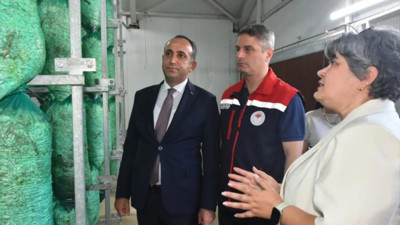 Havada ve topraksız yetiştirilecek: Bu mantar bölge ekonomisine büyük güç verecek