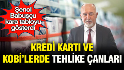 Şenol Babuşçu kara tabloyu gösterdi: Kredi kartı ve KOBİ'lerde tehlike çanları, rakamlar korkunç