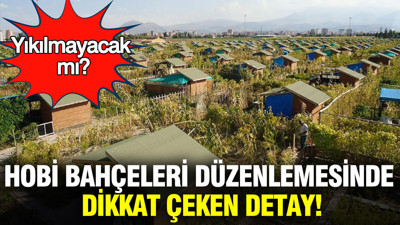 Hobi Bahçeleri yıkılacak mı? Yeni yasada dikkat çeken detay