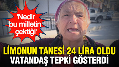 Limonun tanesini 24 lira oldu, vatandaş tepki gösterdi: “Nedir bu milletin çektiği”