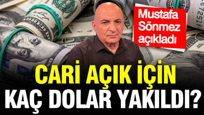 Mustafa Sönmez açıkladı: Cari açık için kaç dolar yakıldı?