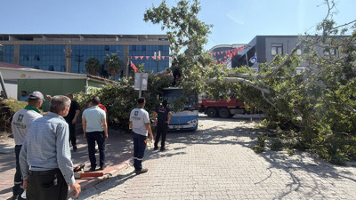 Cumhuriyet Meydanı’nda dehşet anları: Tonlarca ağırlıktaki ağaç otobüsün üstüne yıkıldı