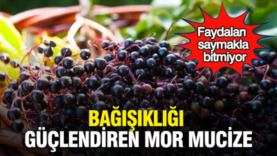 Bağışıklığı güçlendiren mor mucize: Faydaları saymakla bitmiyor