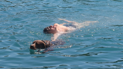 Eğitimle değil içgüdüyle: Deniz polisi köpeği Miço hayat kurtarıyor