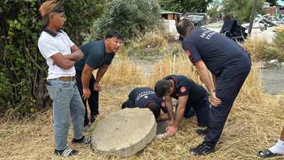 Rögara düşen yavru köpek kardeşleri sayesinde kurtarıldı