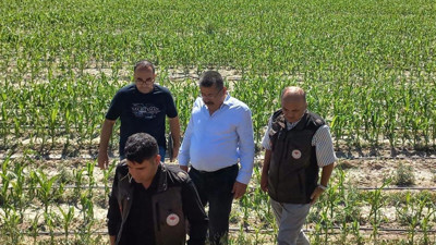 Karapınar'da dolunun vurduğu ekili arazilerde hasar tespiti başladı