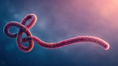Ölüm oranı %90'a ulaşıyor: 50 yıldır durdurulamayan Ebola virüsün gizemli kökeni