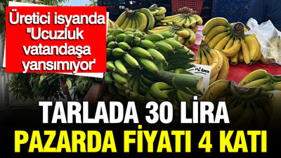 Üreticide 30 TL, pazarda 120 TL muzda akıllara durgunluk veren fiyat farkı