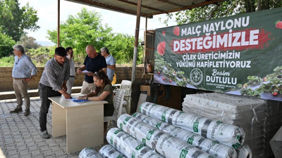 Manisa’da çilek üreticisine can suyu: Yüzde 75 hibeli malç naylonu desteği