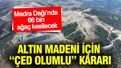 Altın madeni için “ÇED olumlu” kararı: Madra Dağı’nda 66 bin ağaç kesilecek