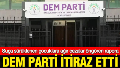 DEM Parti, suça sürüklenen çocuklara ağır cezalar verilmesini isteyen meclis raporuna itiraz etti