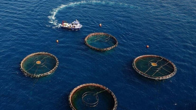 Doğu Karadeniz’den ihracatta dikkat çeken artış: 5 ayda 73,7 milyon doları aştı