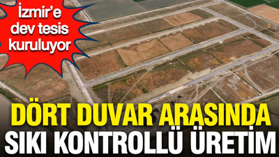 İzmir’de dev tesis: Dört duvar arasında sıkı kontrollü üretim başlıyor