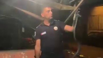 Bulaşık makinesinden çıkan misafir evdekileri şoke etti: Tam 2 metre