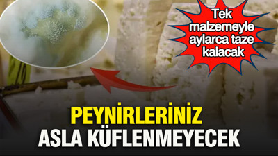 Peynirleriniz asla küflenmeyecek: Tek malzemeyle aylarca taze kalacak
