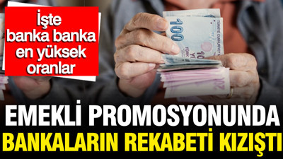 Emekli maaş promosyonu güncellendi: İşte en yüksek oranı veren banka