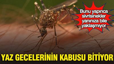 Yaz gecelerinin kabusu bitiyor: Bunu yapınca sivrisinekler yanınıza bile yaklaşmıyor