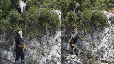 Bozyazı'da uçurumda mahsur kalan keçi itfaiye ekiplerince kurtarıldı