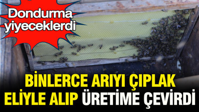 Dondurma yiyeceklerdi: Binlerce arıyı çıplak eliyle aldı, üretime çevirdi