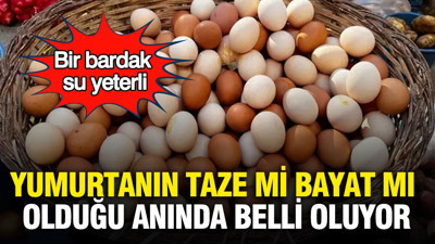 Bir bardak su yeterli: Yumurtanın taze mi bayat mı olduğu anında belli oluyor