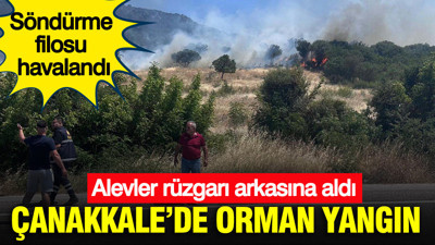 Çanakkale’de orman yangın: Alevler rüzgarı arkasına aldı