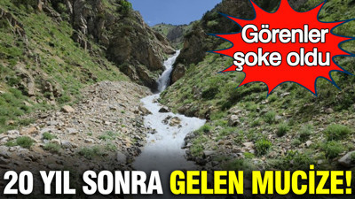 20 yıl sonra gelen mucize: Tekrar hayat bulduğunu görenler şoke oldu