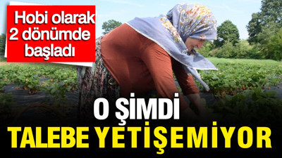 Hobi olarak 2 dönümlük alanda başladı: Şimdi talebe yetişemiyor