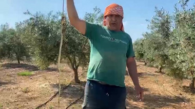 “Ben öldürdüm” dedi, 22 bin TL ceza aldı: Ölü yılanı eline alan hurdacının pişmanlığı