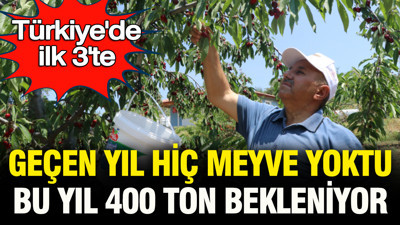 Türkiye’de ilk 3’te: Geçen sene hiç meyve yoktu, bu sene 400 ton bekleniyor
