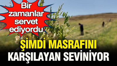Bir zamanlar servet kazandırıyordu, şimdi masrafını karşılayan seviniyor